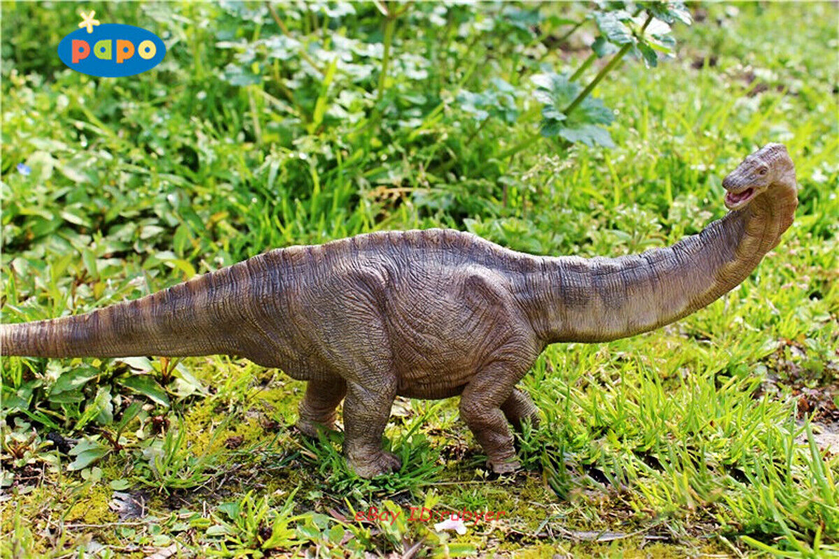 PAPO Apatosaurus 1/20 Dinosaur Animal Model 16.9\'\' Long PVC Model INSTOCK
