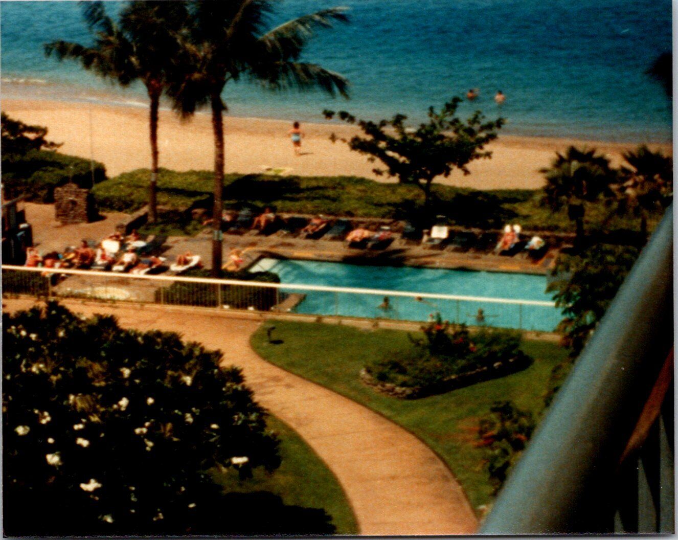 Balcony view of hotel garden, pool and the beach Hawaii Found Photo V1331