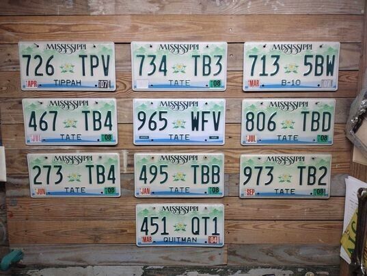 Mississippi Exp 2008 Lot of 10 Small Magnolia License Plates Tags ~ 726 TPV