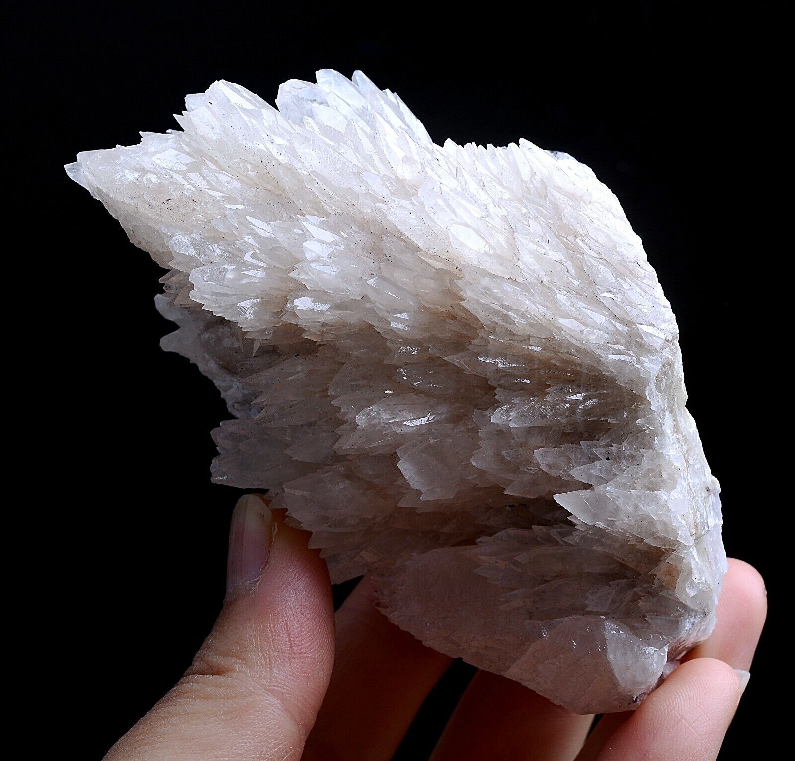 257g Natural Complete “Angel Wings” White Calcite Mineral Specimen/China