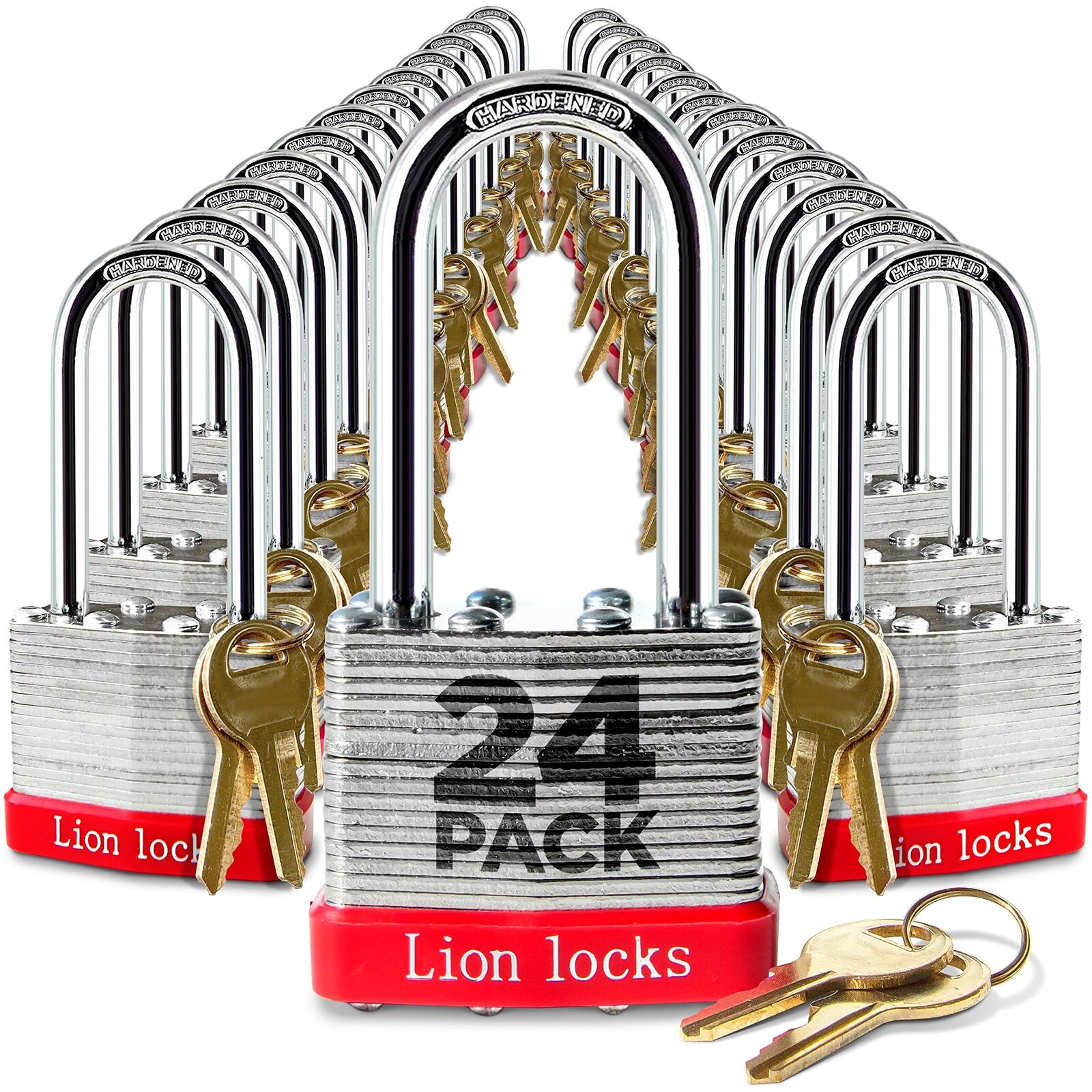 Lion Locks 24 Keyed Alike Padlocks with 2\