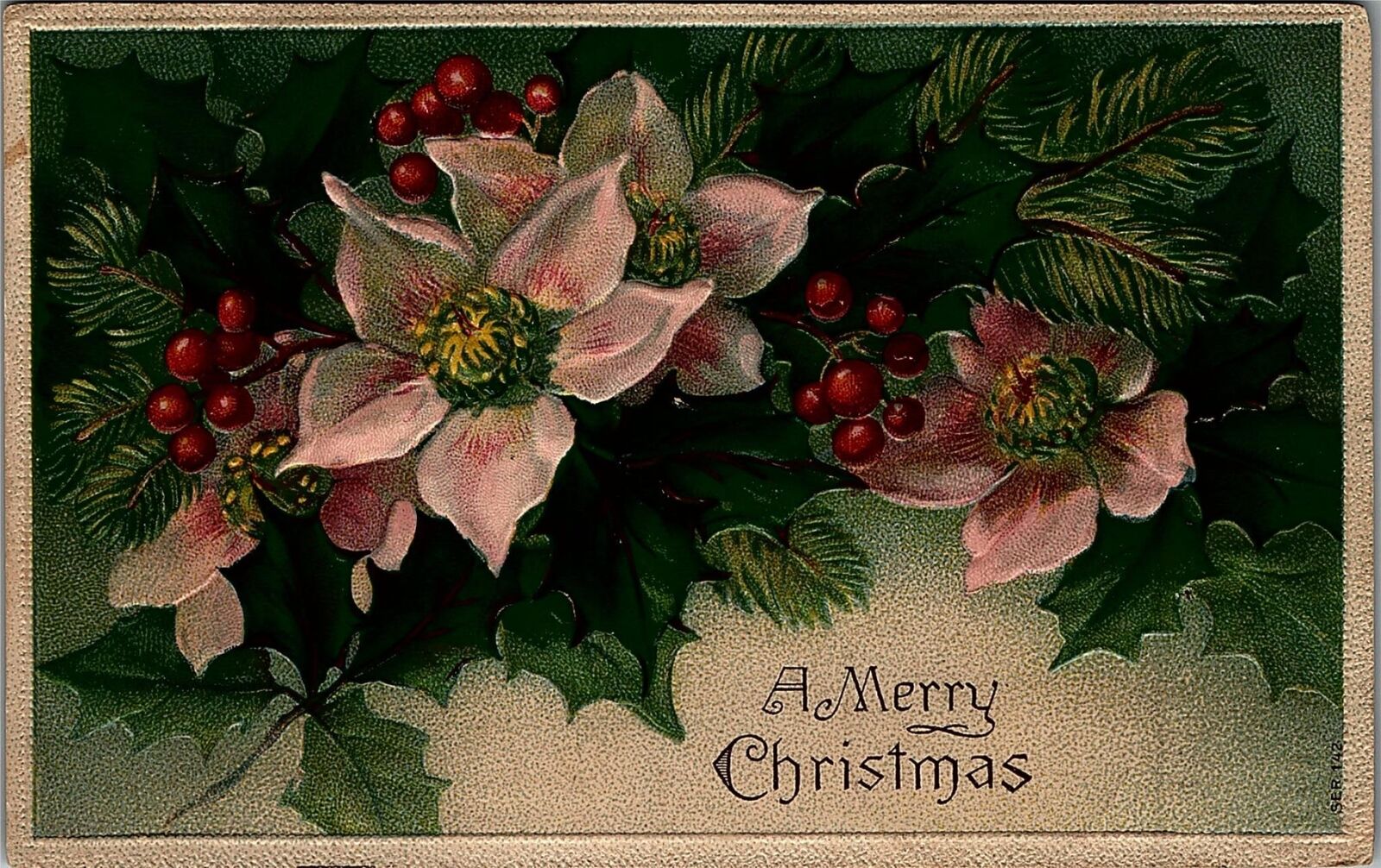 c1907 MERRY CHRISTMAS PHELPS PA FLORAL HOLLY PINE HEAVY EMBOSSED POSTCARD 20-113
