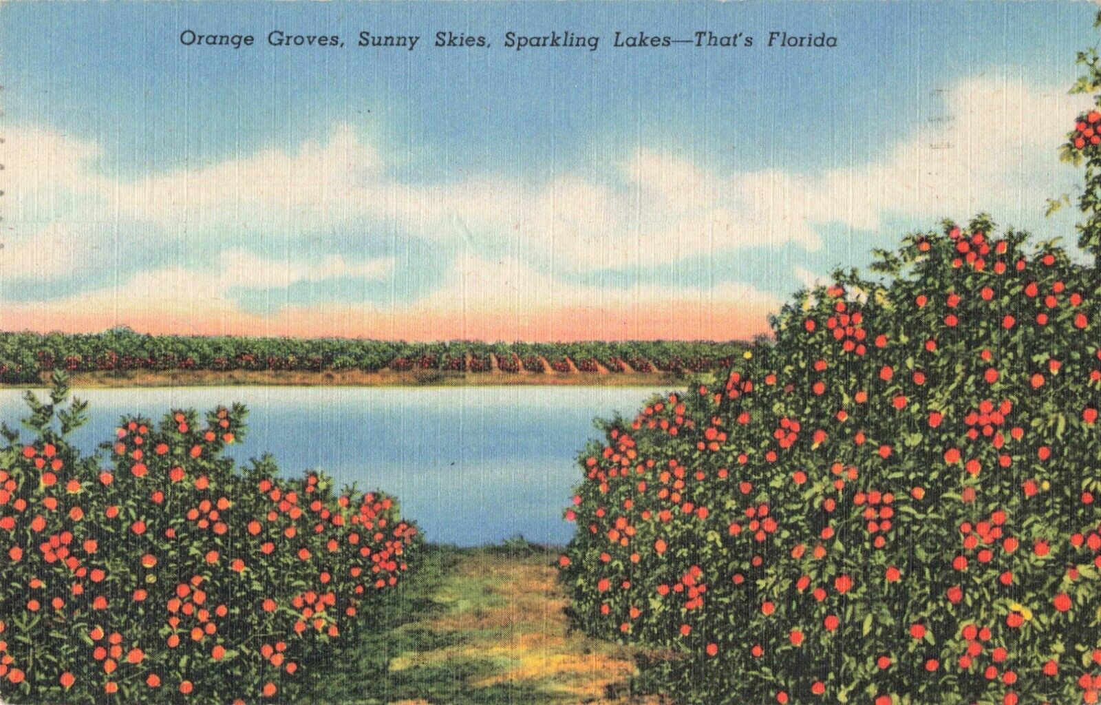 DeLand Florida, Orange Groves, Sunny Skies, Sparkling Lakes, Vintage Postcard