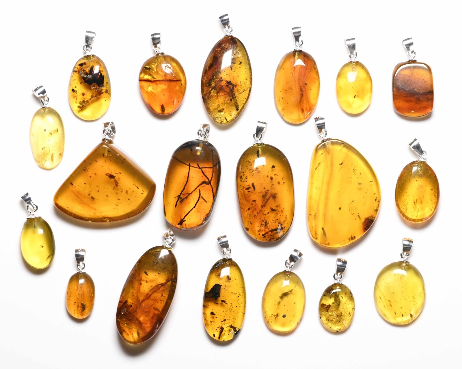 Sterling Silver Necklace - Fossil insect inclusion in Burmese Amber, Price Each