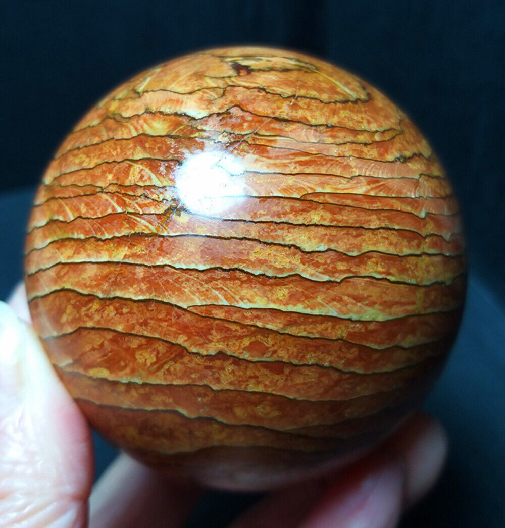 TOP 380G Natural Polished Wood grain stone Crystal Sphere Ball Healing YWD421