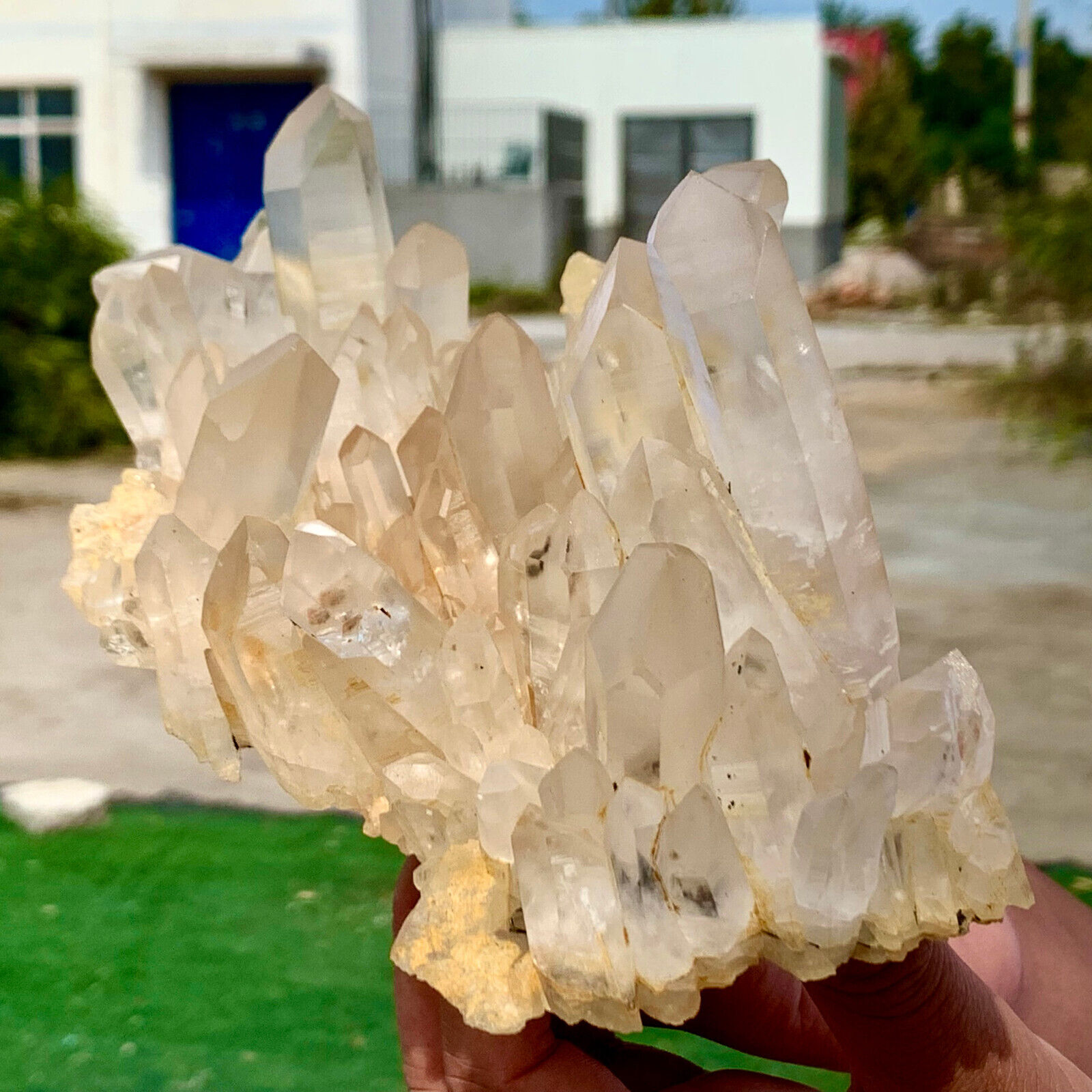 2.03LB A+++Large Natural white Crystal Himalayan quartz cluster /mineralsls