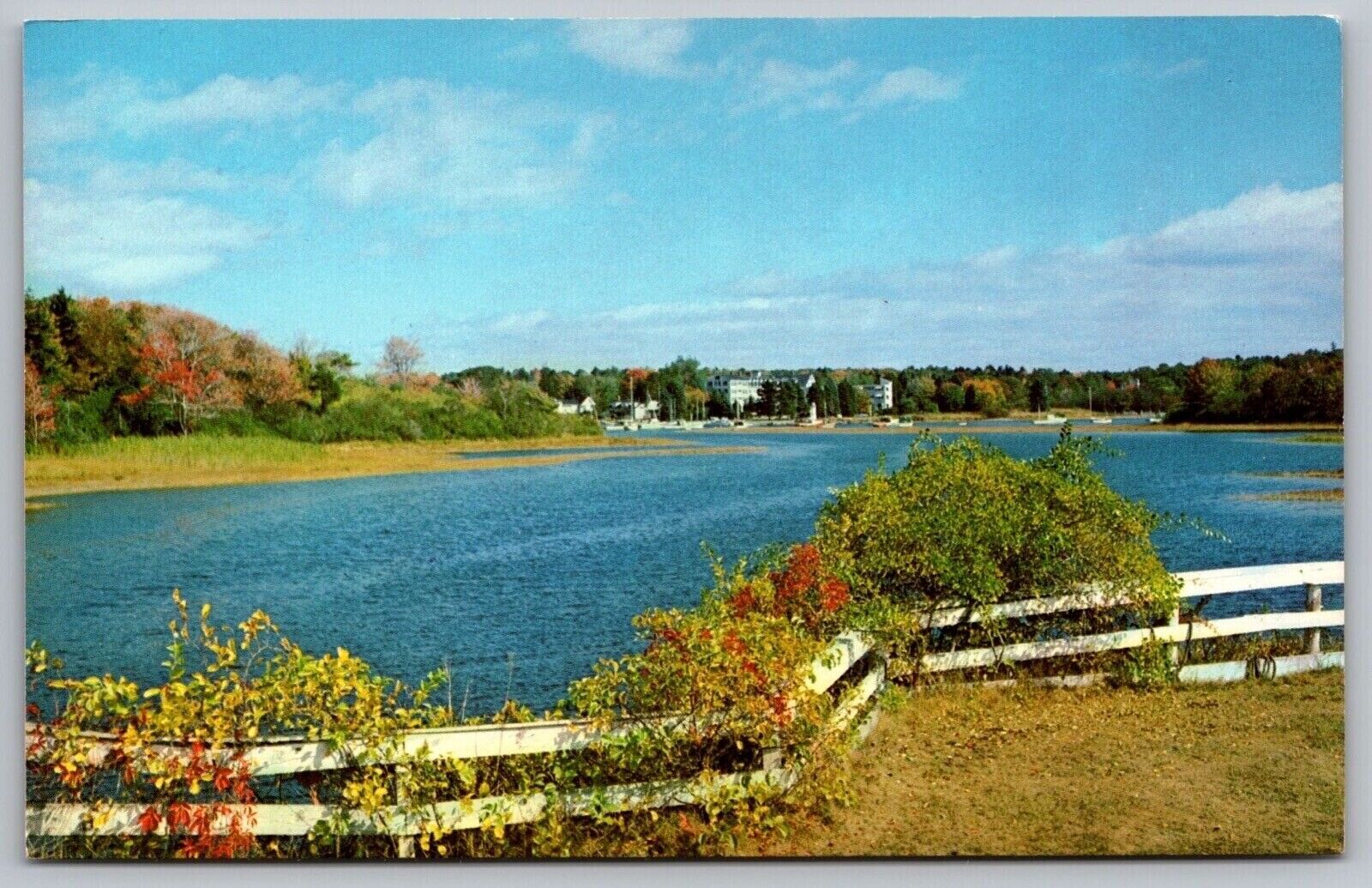 Maine Kennebunkport River View Riverfront Eastern Illustrating Vintage Postcard