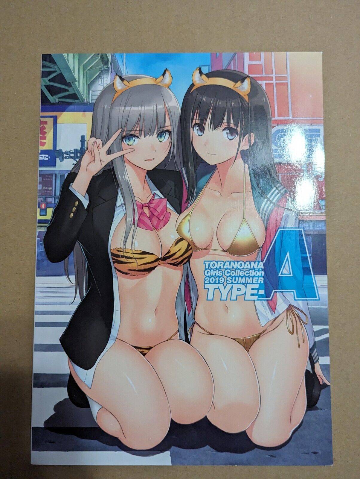Comic Market 96 Toranoana Girls Collection 2019 Summer Type-A Art Book Doujinshi