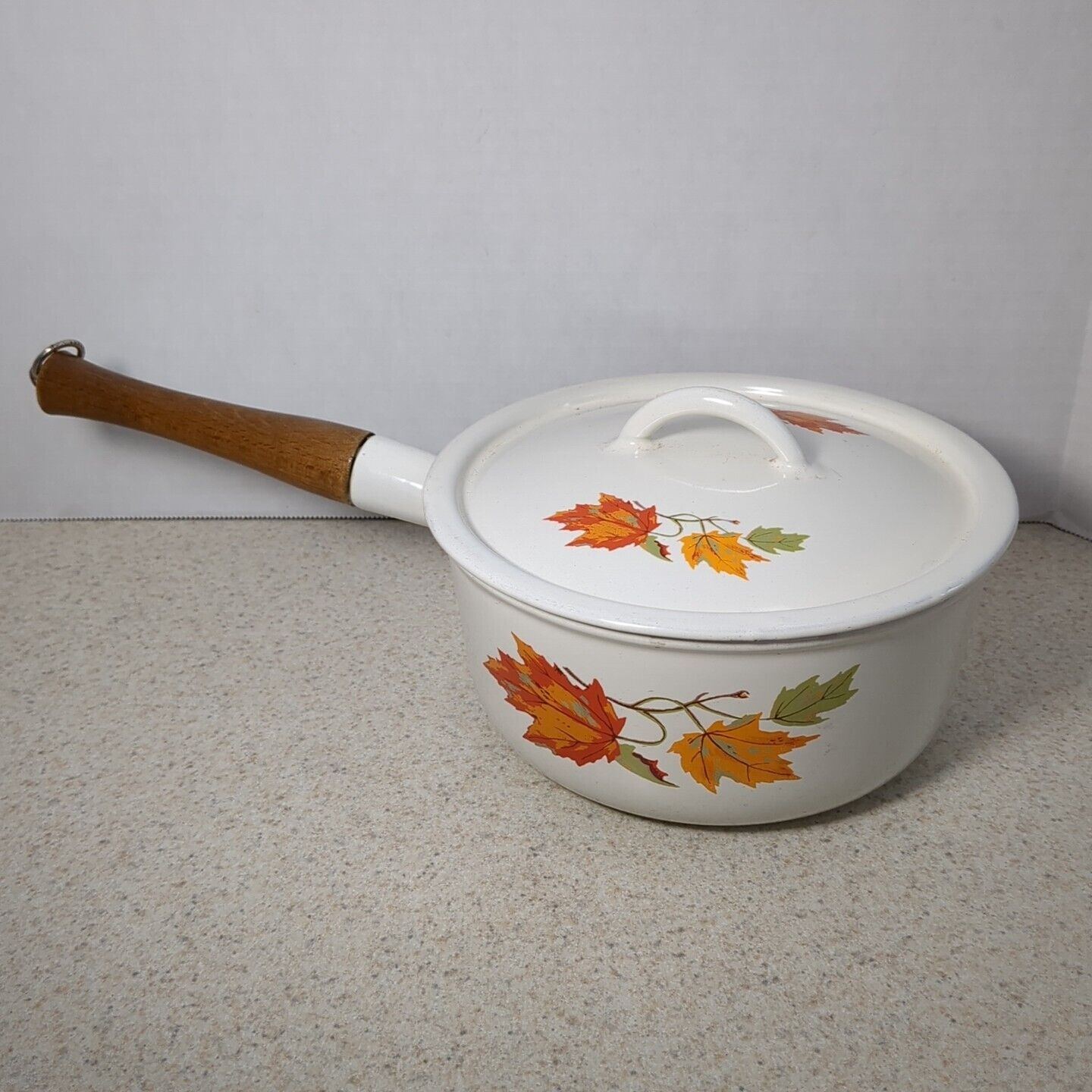 Vintage 2 qt DESCOWARE Enameled Cast Iron Round Sauce Pan Pot Fall Maple Leaf