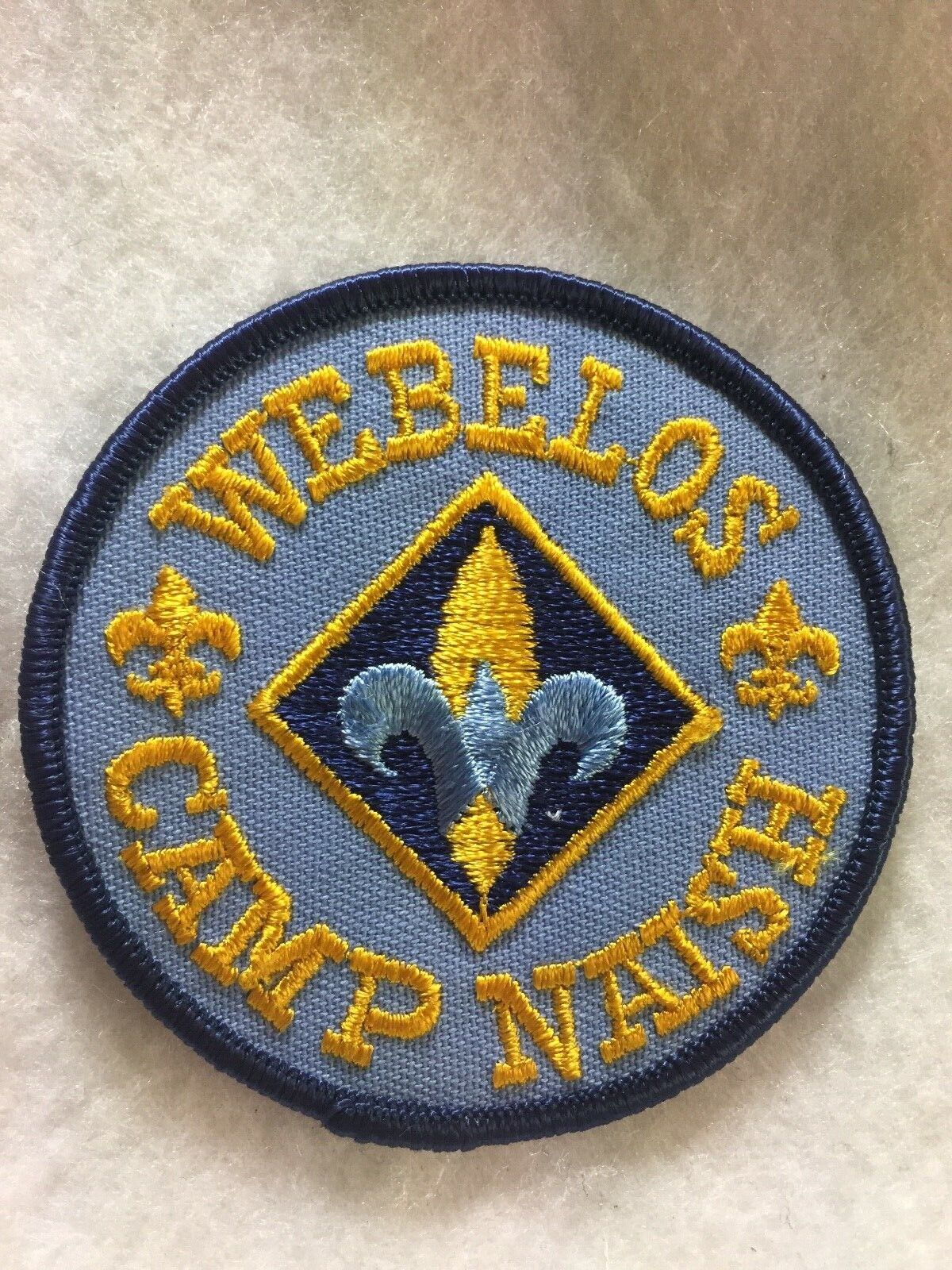(b54)   Boy Scouts -  Webelos - Camp Naish  patch