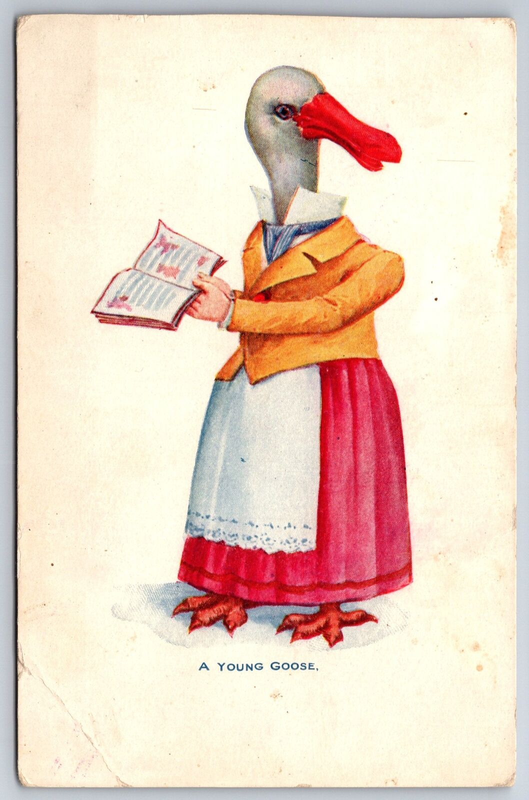 Fantasy~Anthropomorphic Dressed Goose~Human Hands Holds Book~A Young Goose~c1905