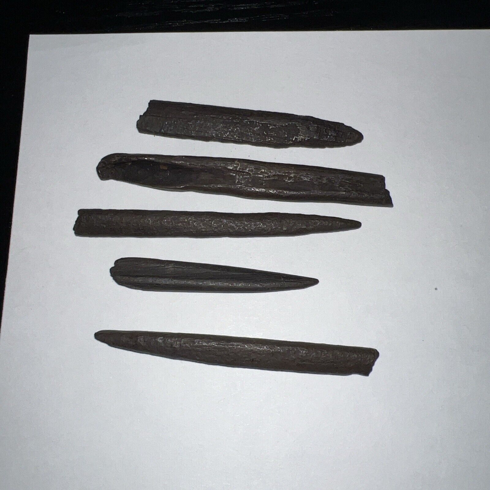 Lot Of 5 Native American Artifact Pre 1600 Bone Needle