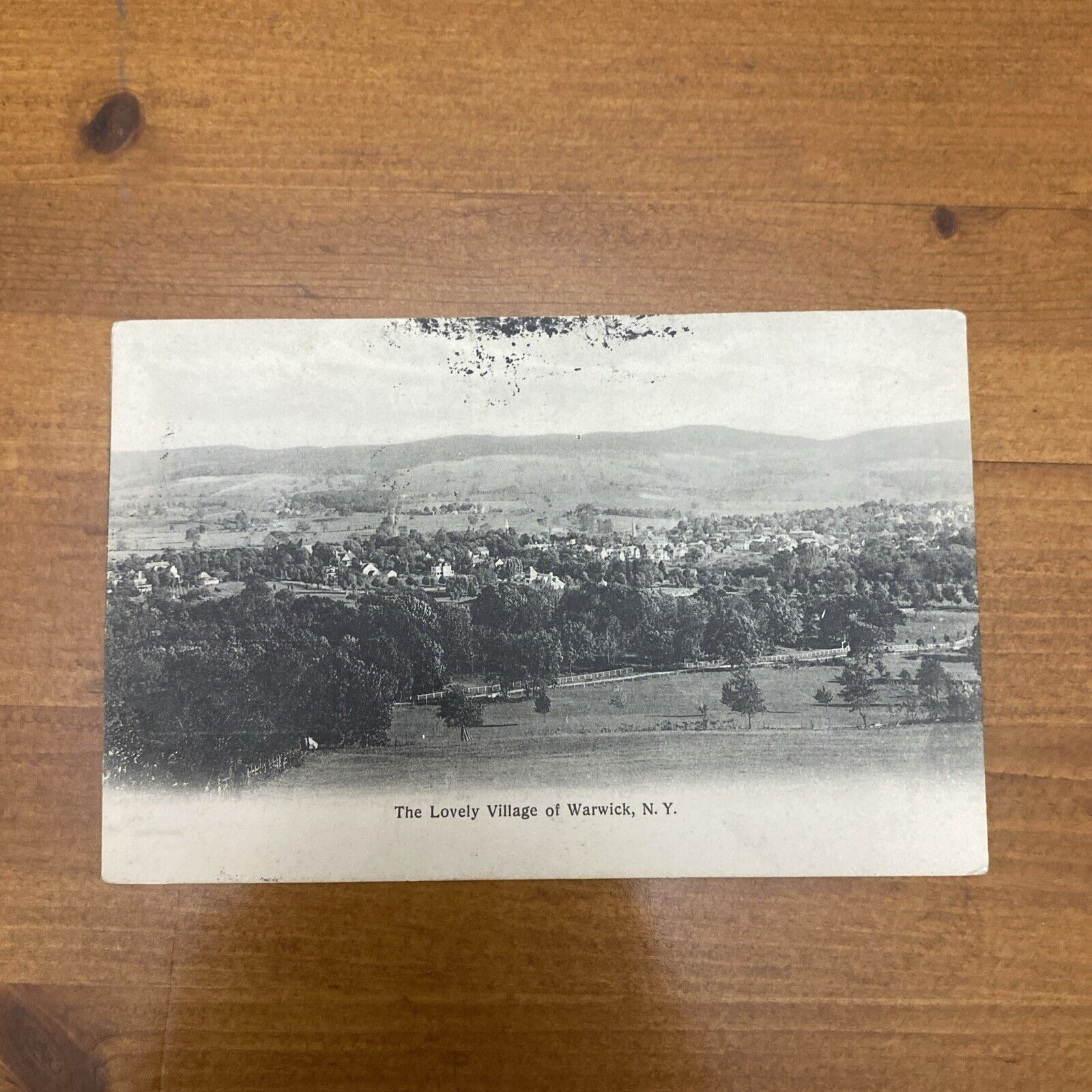 Warwick NY: 1905-06 Postcard THE LOVELY VILLAGE Birdseye View from Demarest Hill