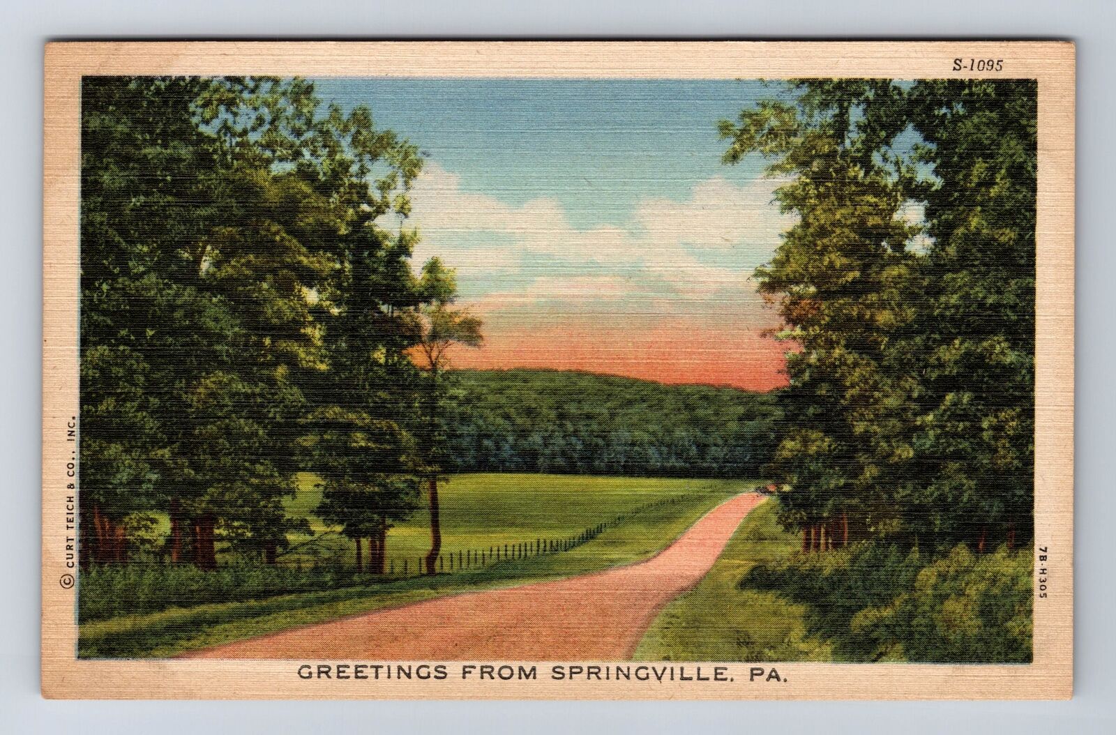Springville PA-Pennsylvania, General Greetings Road Trees, Vintage Postcard