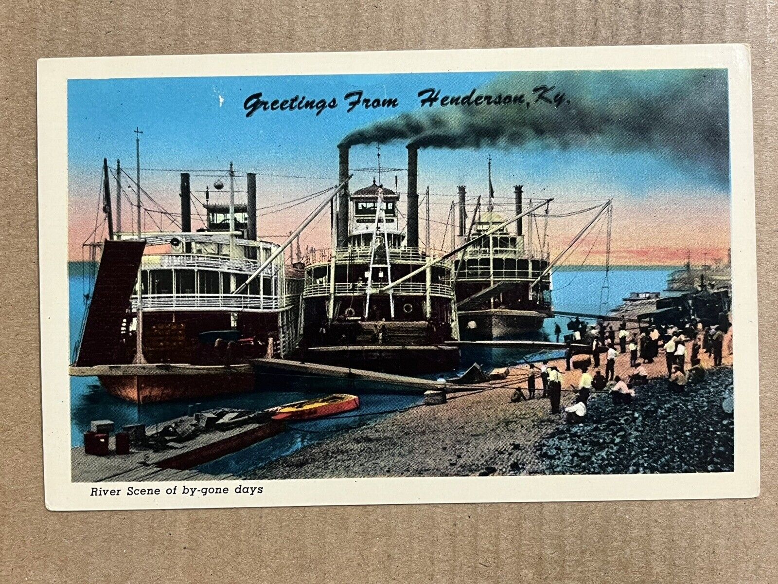 Postcard Henderson KY Kentucky Eagle Packet Company Sternwheel River Boats Ships