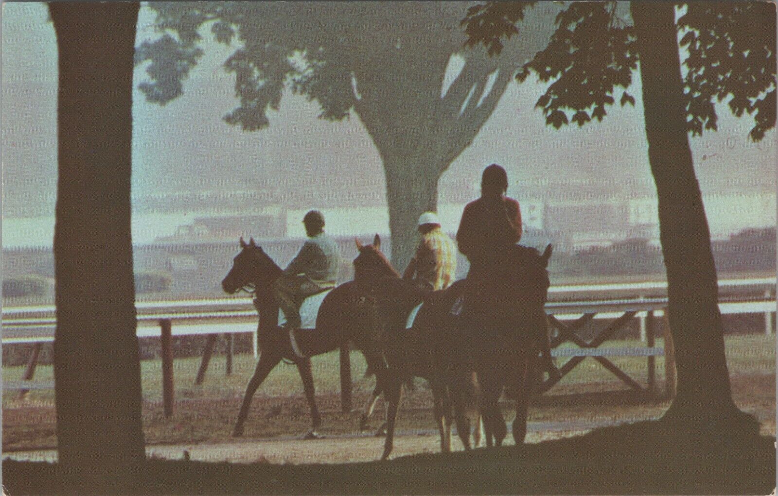 Saratoga New York horse thoroughbreds in mist workout c1960s postcard B331