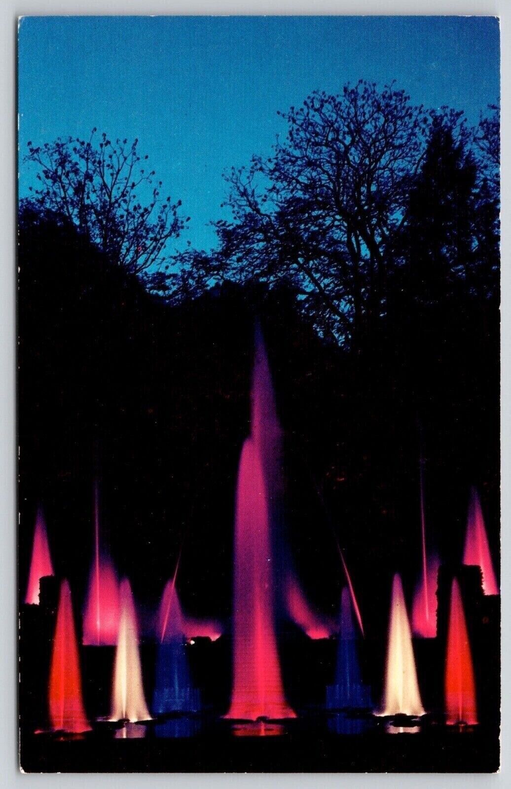 Kennett Square Pennsylvania Longwood Gardens Night View Chrome Postcard