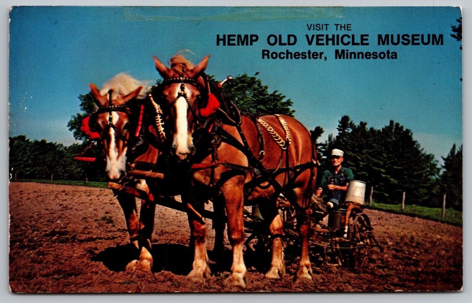 Minnesota Rochester Hemp Oold Vehicle Museum Animals Horses Buggy VTG Postcard