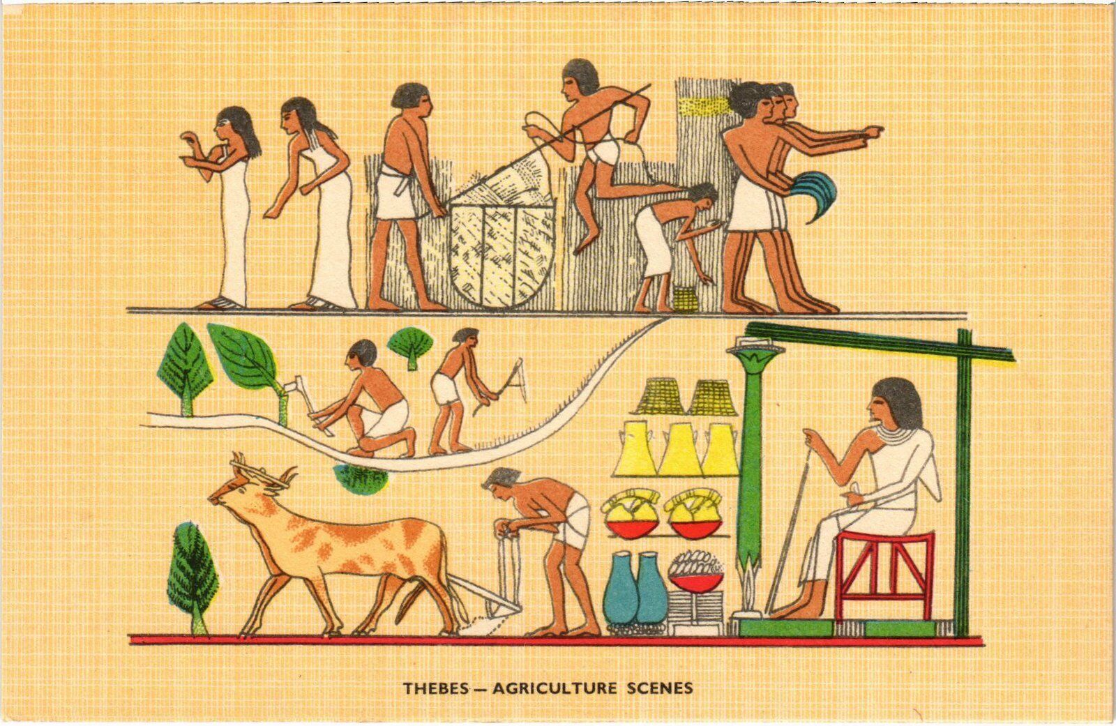 CPA AK THEBES Agriculture Scenes EEGYPT (1325912)