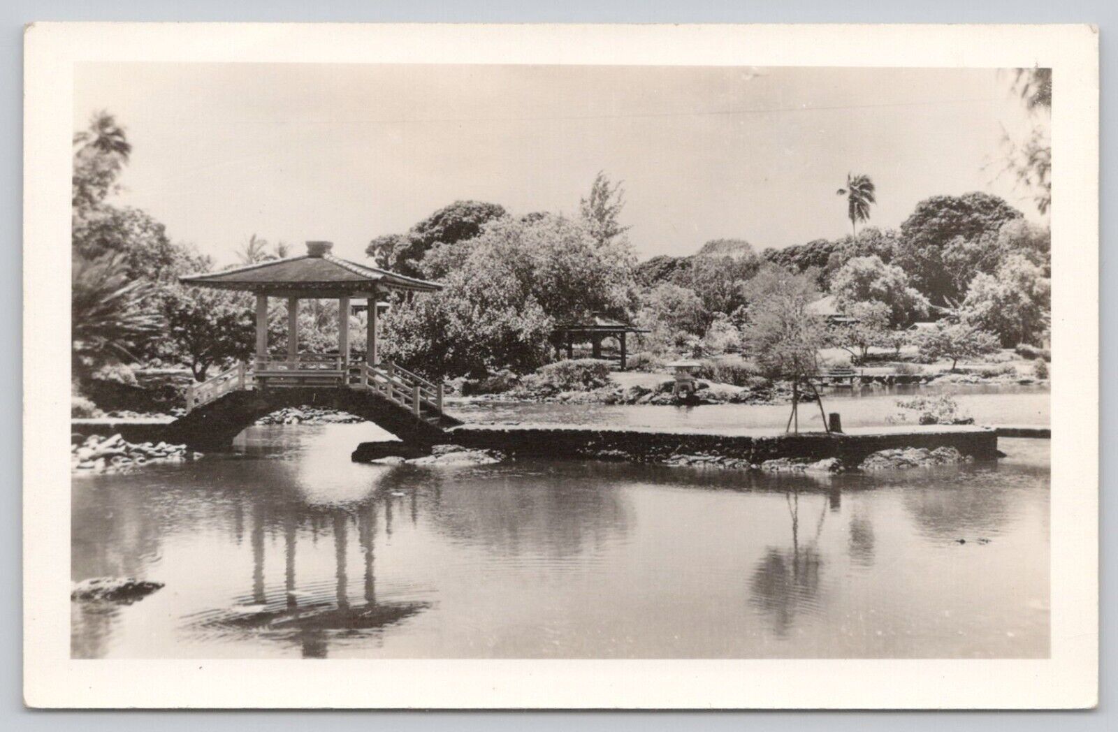 Postcard RPPC Japanese Garden Bridge UNknow location UNP *a5