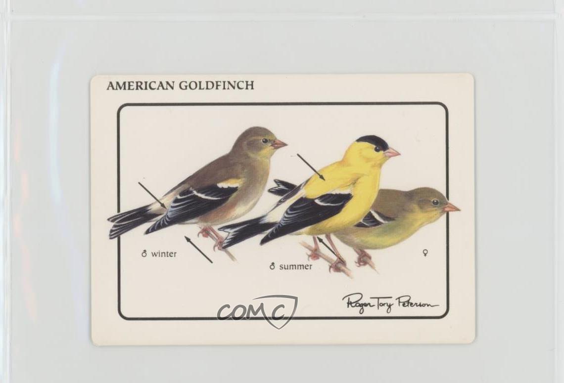 1992 World Life Roger Tory Peterson Bird Feeder Series 2 American Goldfinch 0qt9