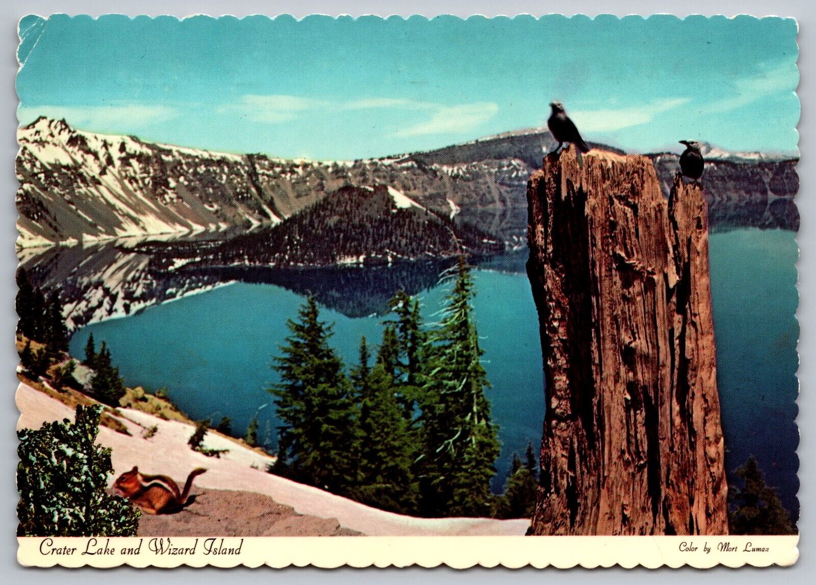 Crater Lake & Wizard Island-Oregon-Clark’s Nutcracker Birds-VTG DEXTER Postcard