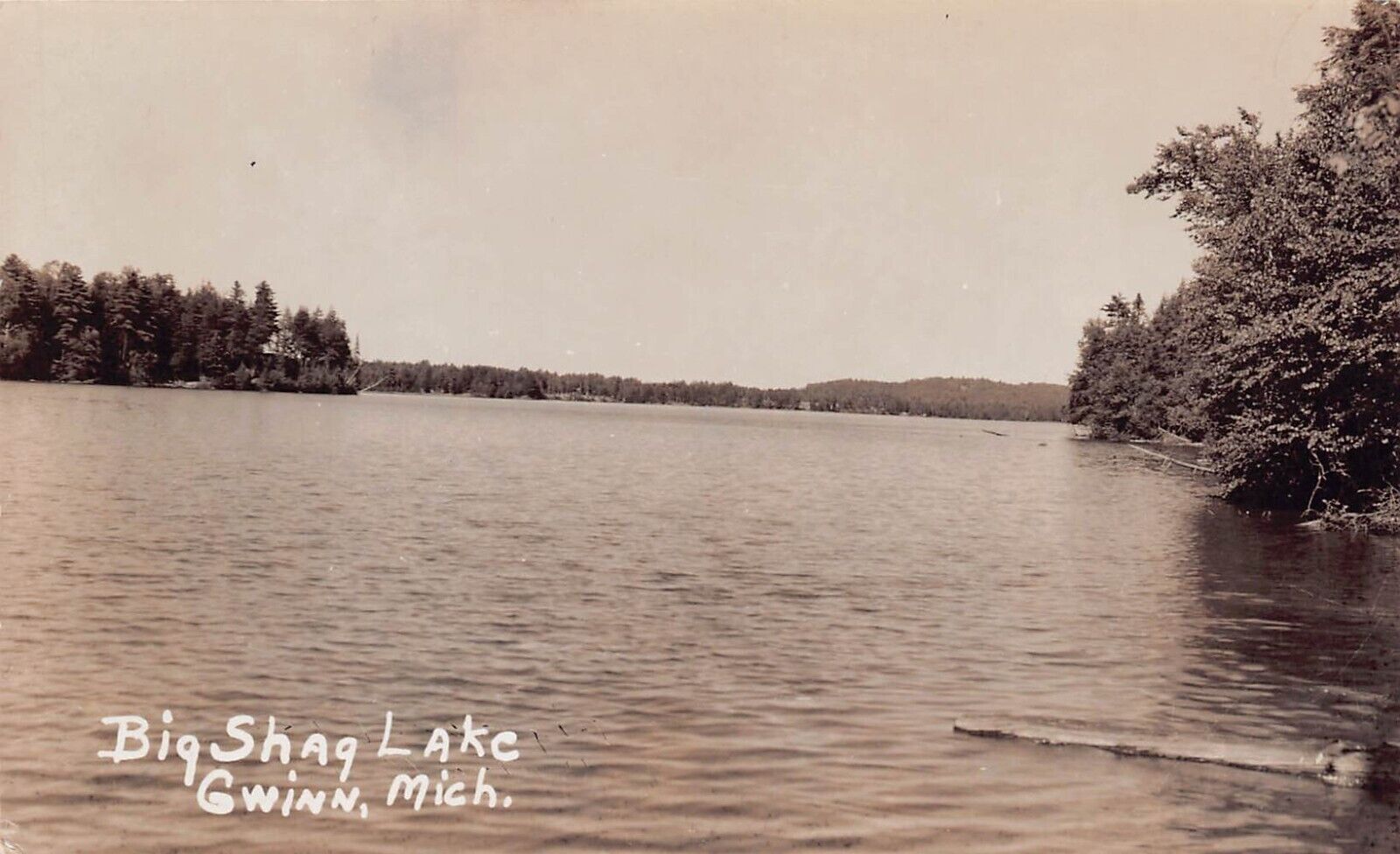 RPPC Gwinn MI Michigan Big Shag Lake Marquette County Photo Postcard D20