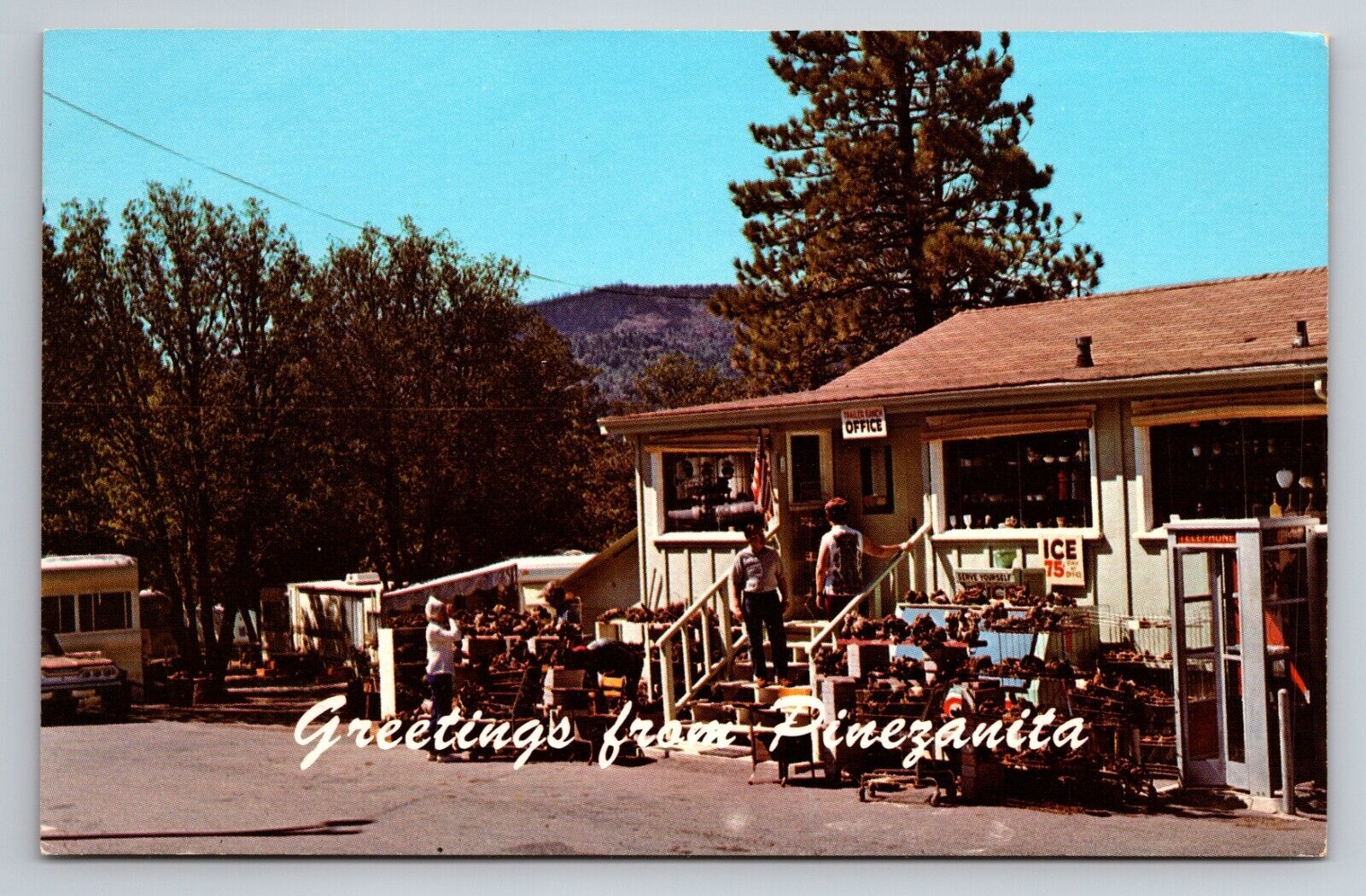 Greetings From Pinezanita Trailer Ranch & Gift Shop Julian California Unposted