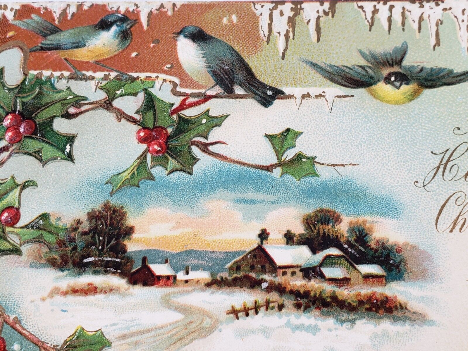 C 1907 Birds on Tree Holly Berry Branch Snow Scene Embossed Christmas Postcard 
