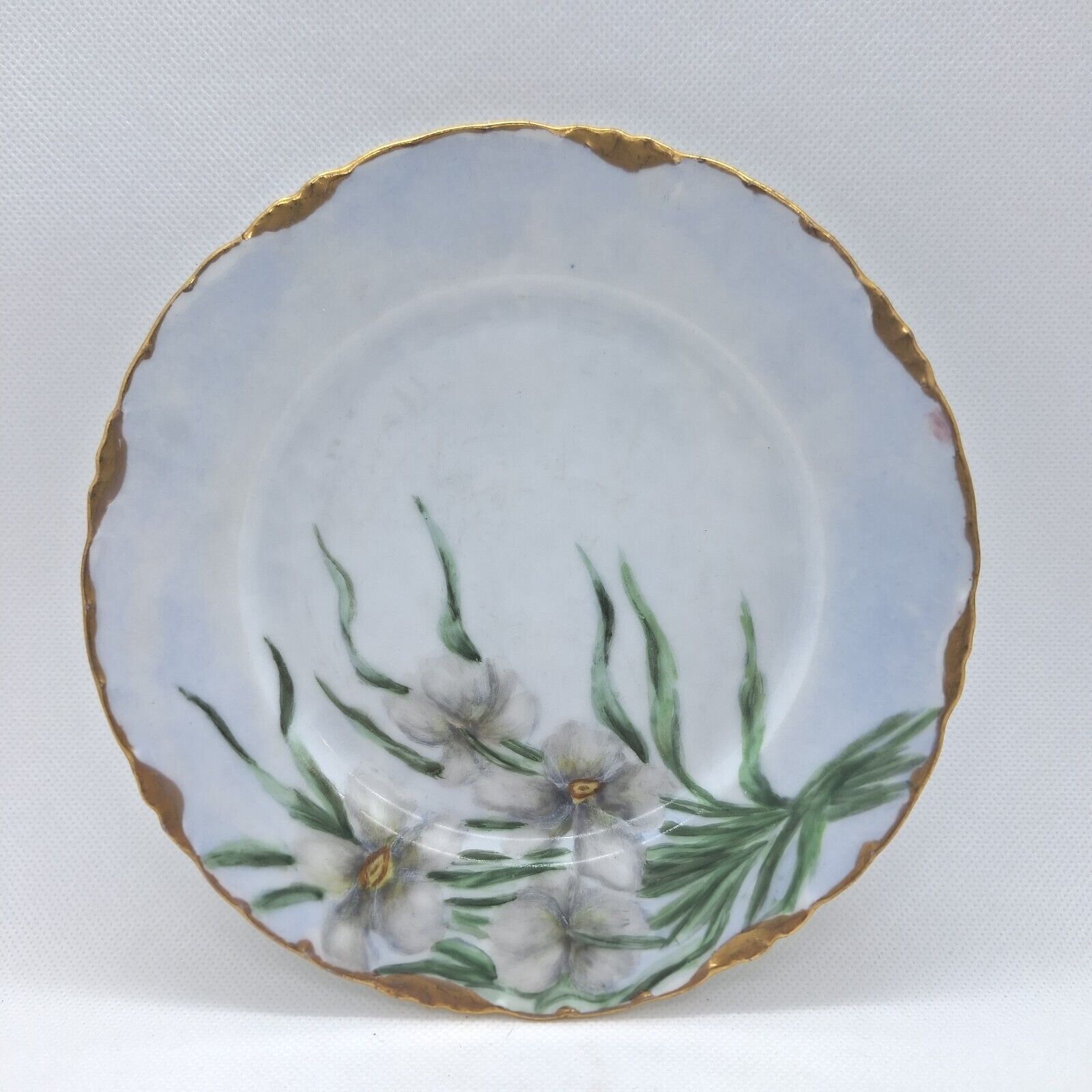 Rosenthale Bavaria Hand Painted Floral Plate 1909 Antique