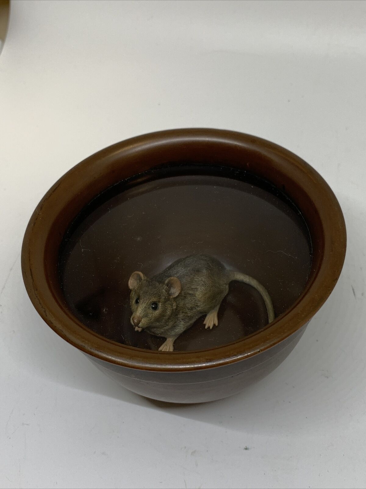 RARE Cold Painted Bronze Mouse in Bronze Bowl Exceptional