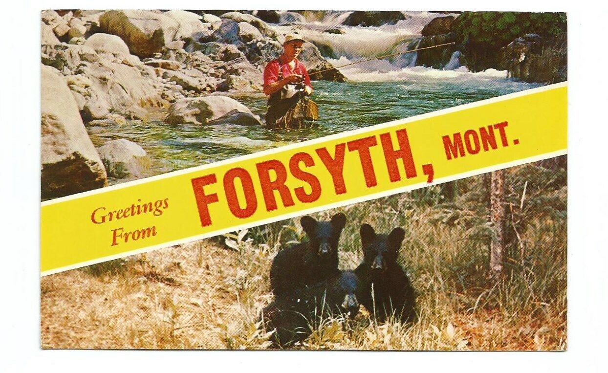 Greetings Forsyth Montana MT Postcard Fishing Bears