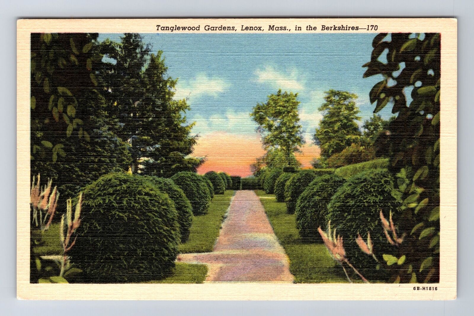 Lenox MA-Massachusetts, Tanglewood Gardens In Berkshires, Vintage Postcard