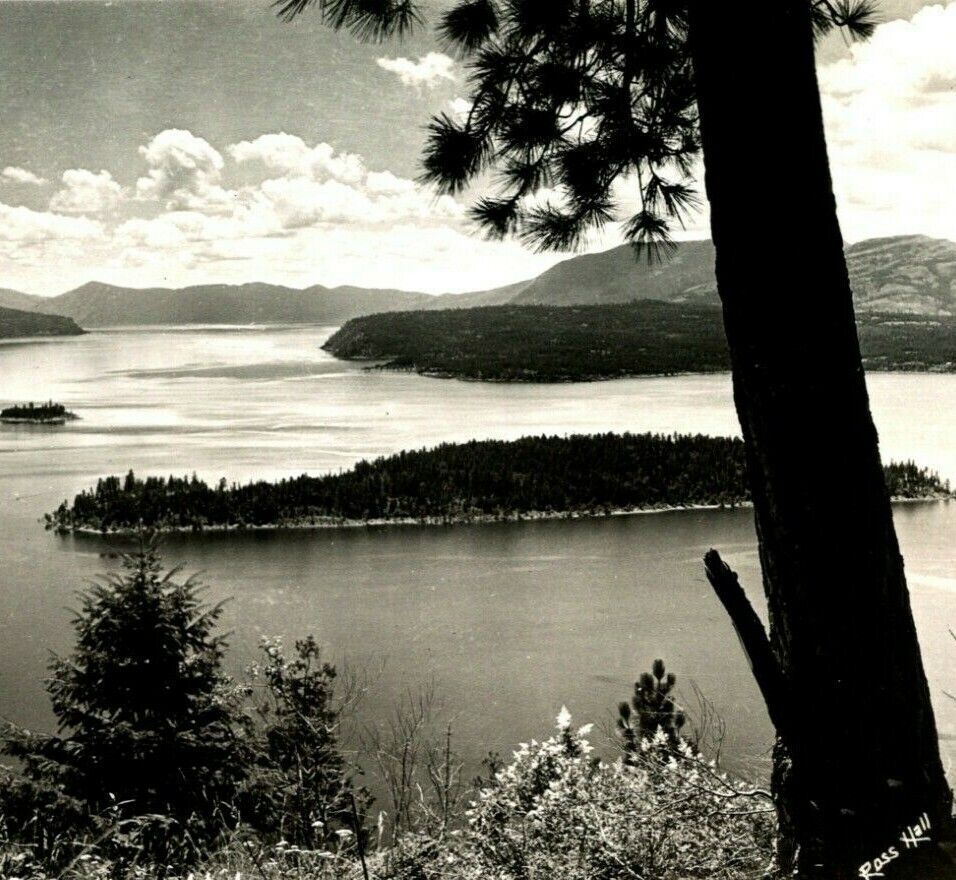 RPPC Hope Idaho ID Beautiful Lake Pend Orelle From Hope UNP 1940s Postcard Hall