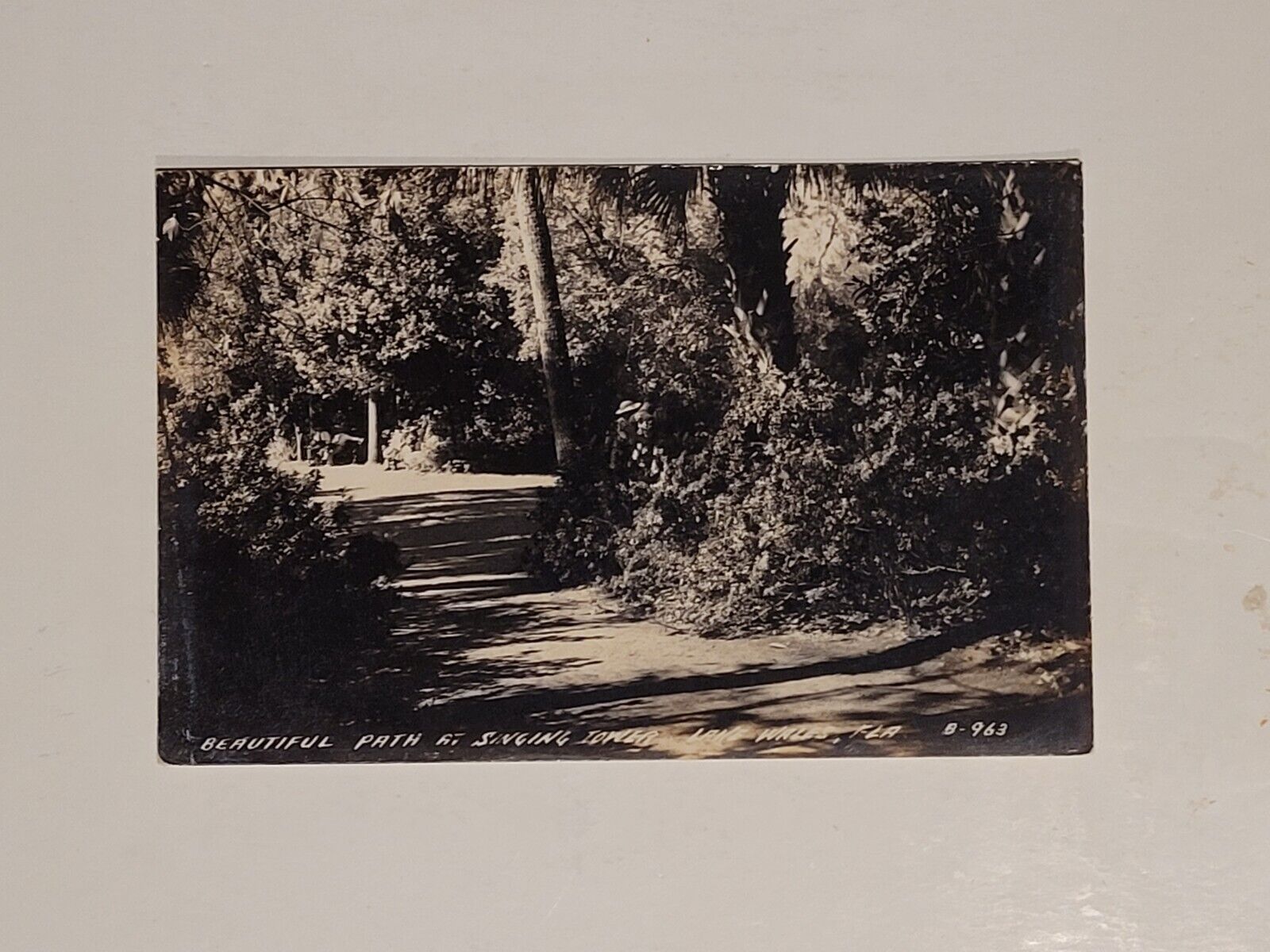 Forest Path Singing Tower RPPC Photo Postcard Lake Wales Florida L L Cook Artist
