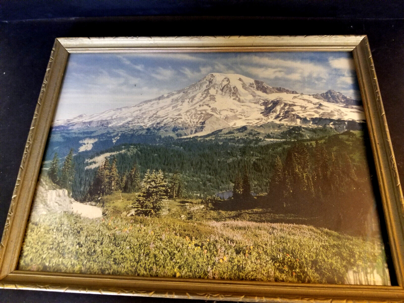 Vintage Framed Oregon mount hood Photo/Print mountain trees pnw art mt.