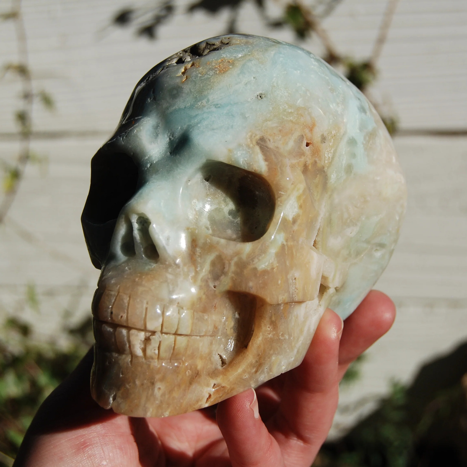 4.75in 2.5lb XL Chinese Amazonite Crystal Skull, Hand Carved