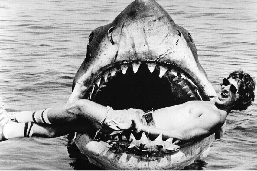 Jaws 8x10 real photo Steven Spielberg in shark's mouth