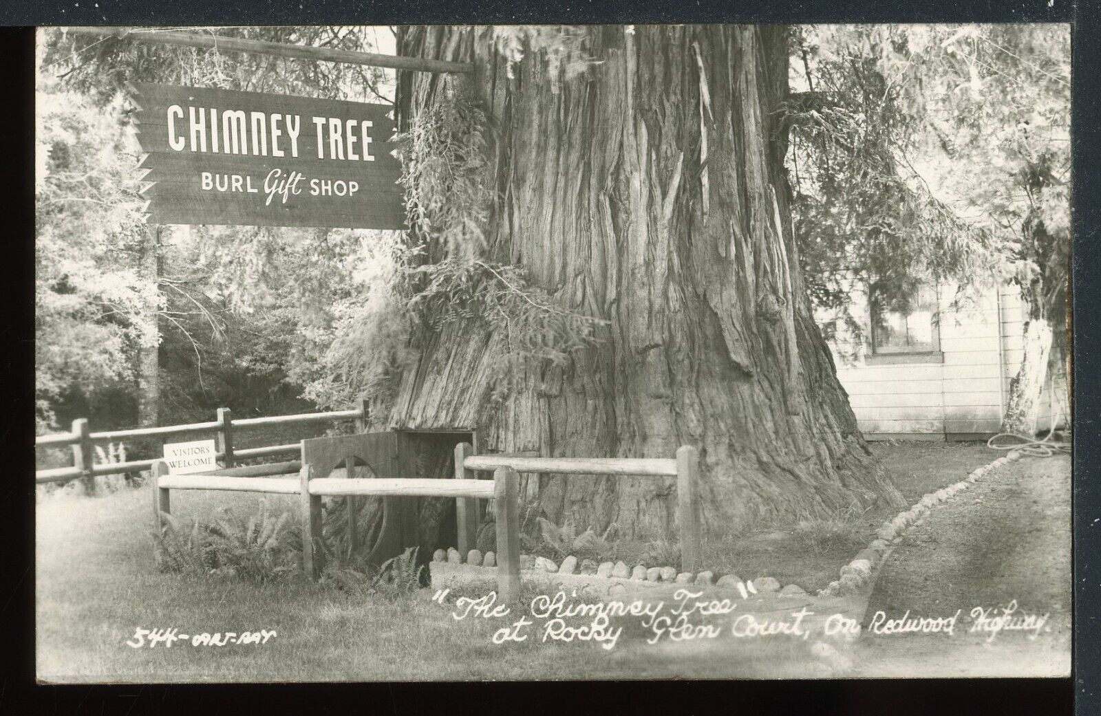 RPPC Chimney Tree Gift Shop Rocky Glen Redwood Hwy CA Vintage Postcard M1548a