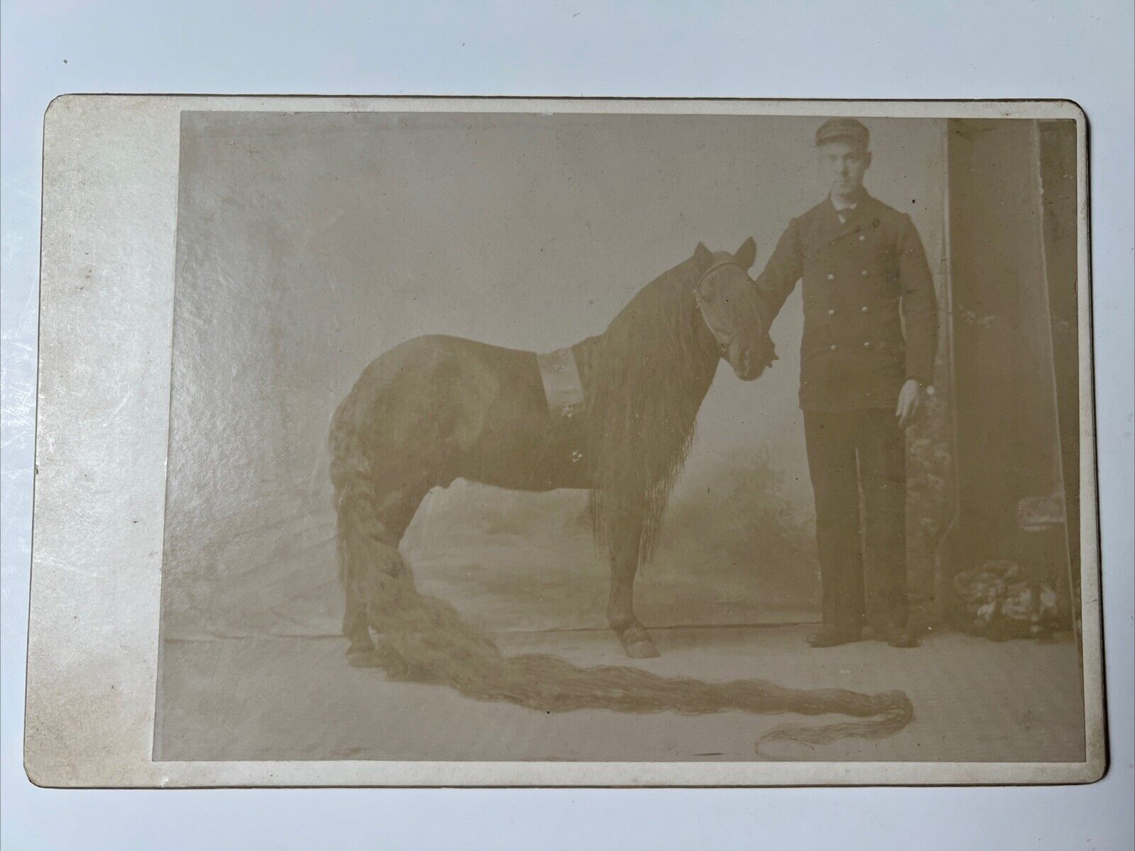 CHIEF the Miniature HORSE LONG MANE w Handler Cabinet Card Photo 1890s