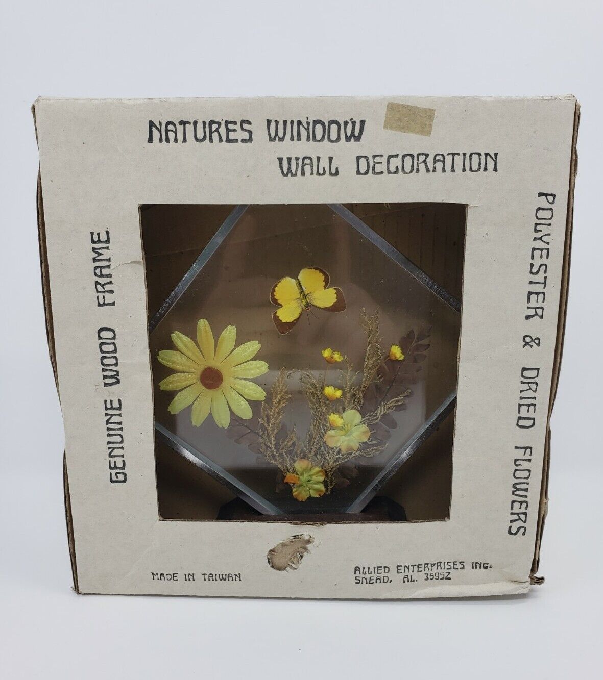 Vintage Glass Picture Frame With Real Flowers And Butterflies Natures Window 
