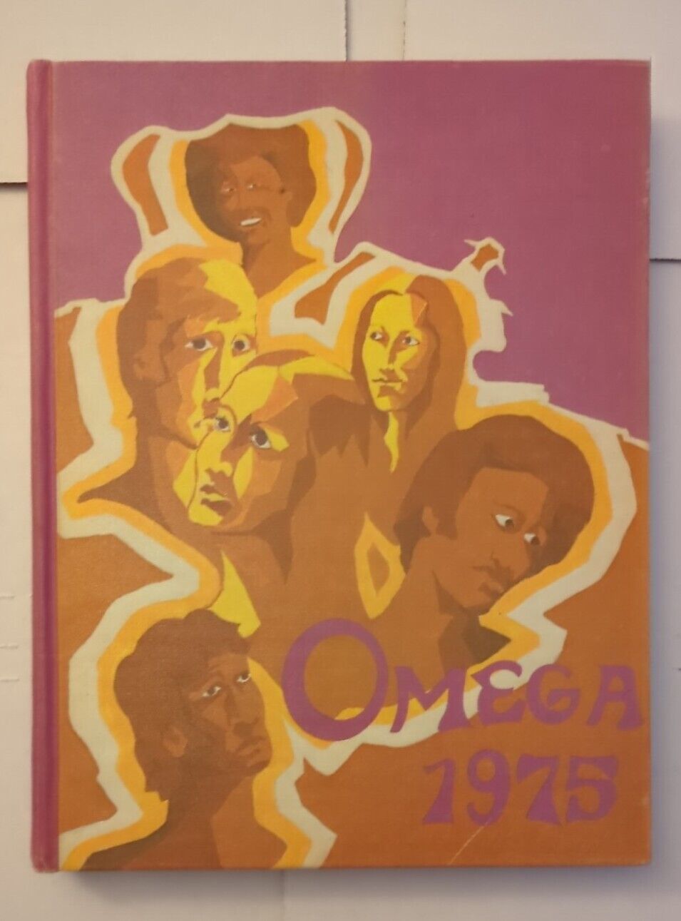 Vintage 1975 Ann Arbor Michigan Pioneer High School Yearbook Omega