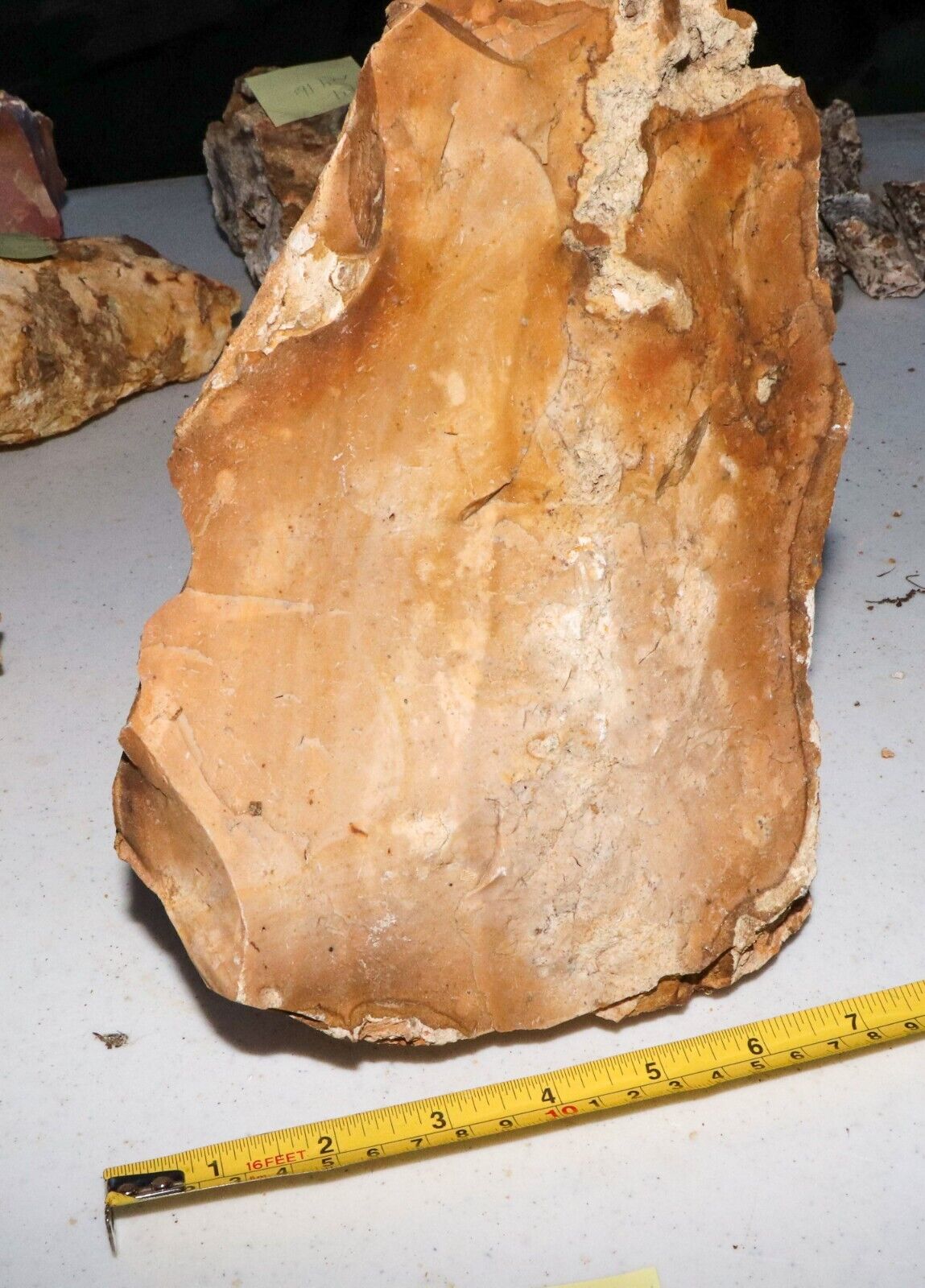 Raw Chert and Flint Stone Rock from Southwest Georgia - 12 lbs