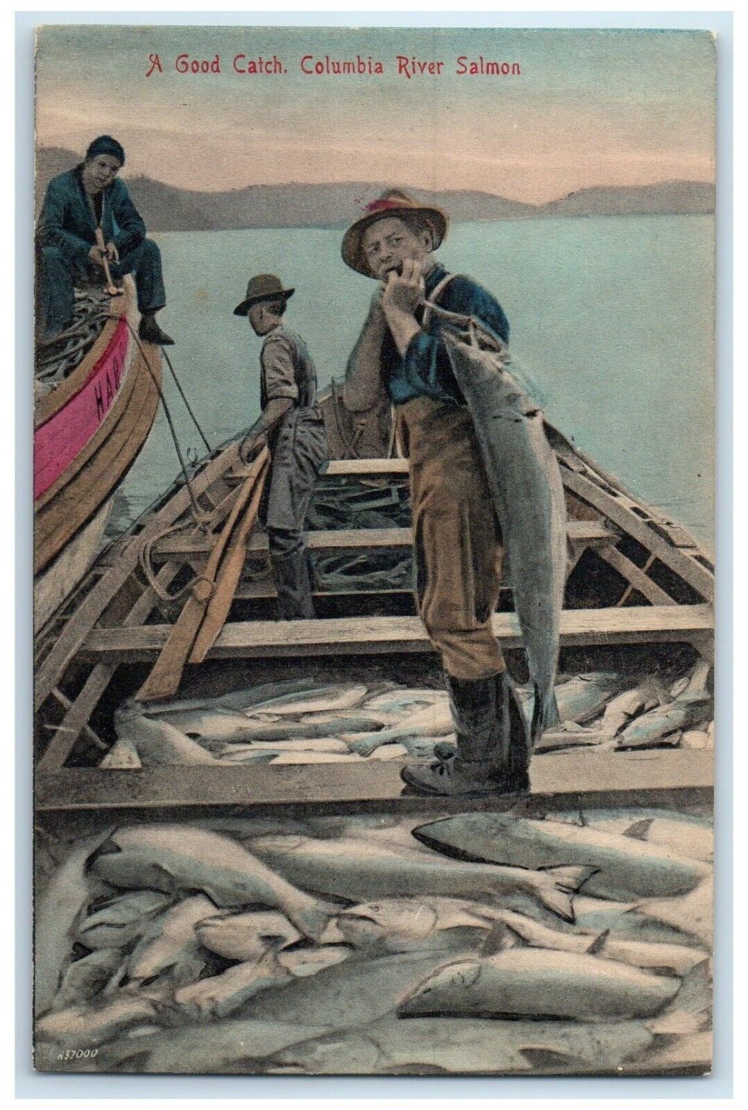 c1910 Good Catch Columbia River Salmon Published Los Angeles California Postcard