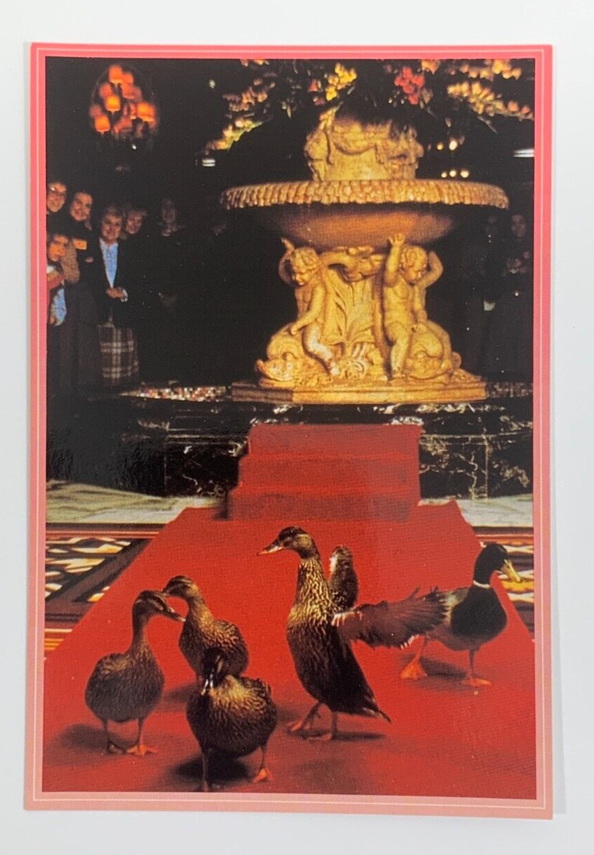 Peabody Ducks march on the Hotel Roof Memphis Tennessee Postcard Vintage 1993