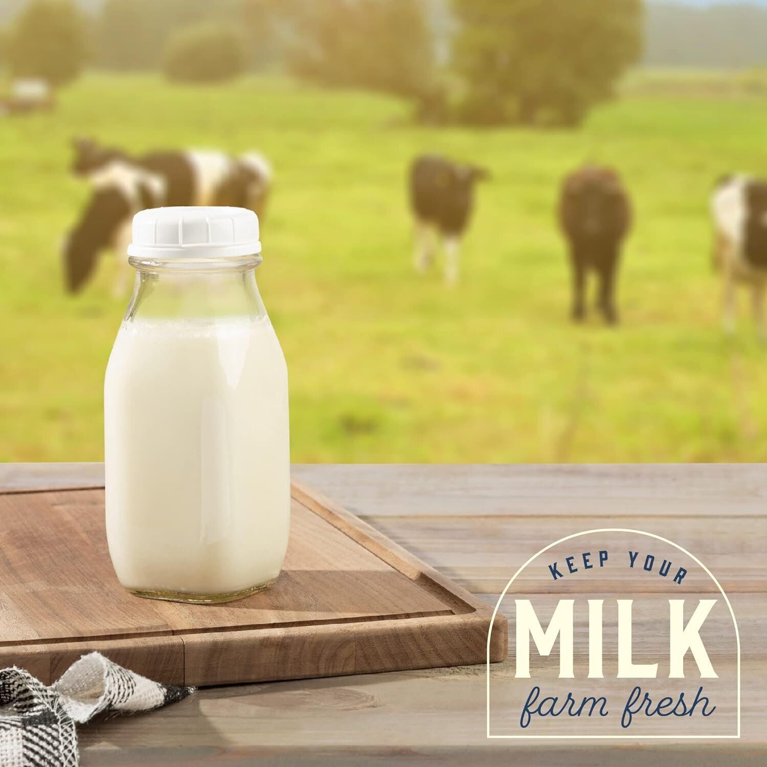 kitchentoolz 12 Oz Square Glass Milk Bottle with Lids- Perfect Milk Container...