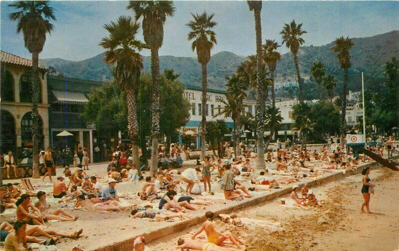 Santa Catalina Island California Beach Roberts Hoppers Sales Postcard 21-7162