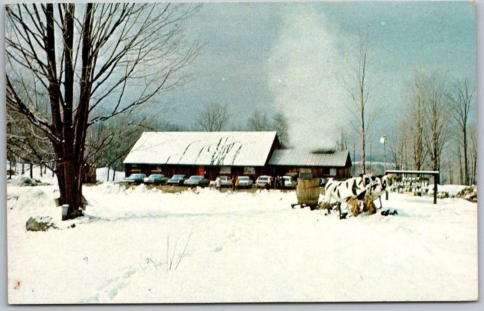 Westmoreland New Hampshire 1960s Postcard Summit Sugar House & Gift Barn