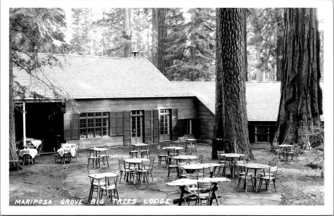 RPPC Mariposa Grove CA Big Trees Lodge Dining Tables Chairs photo postcard IQ11