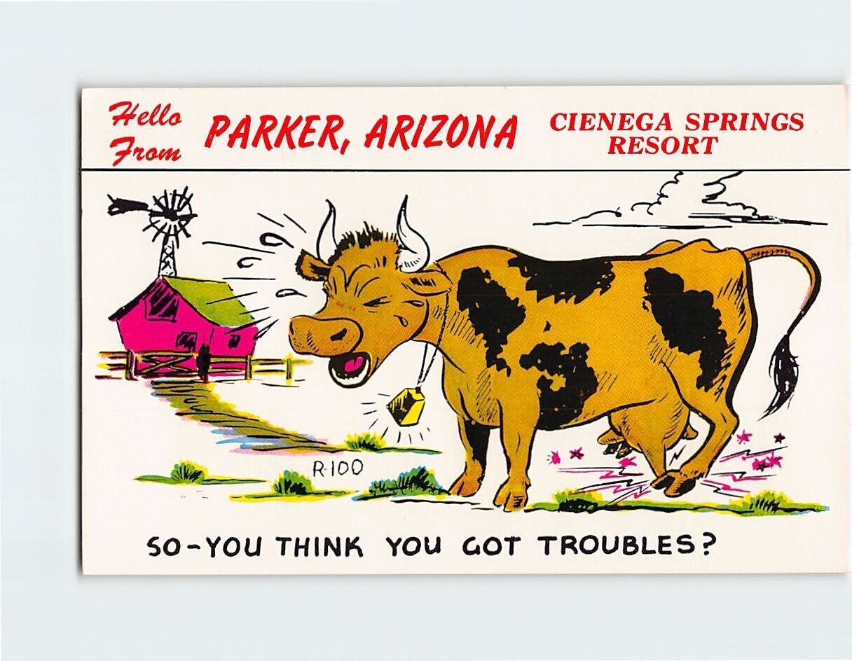 Postcard So You Think You Got Troubles? Cienega Springs Resort Parker AZ USA